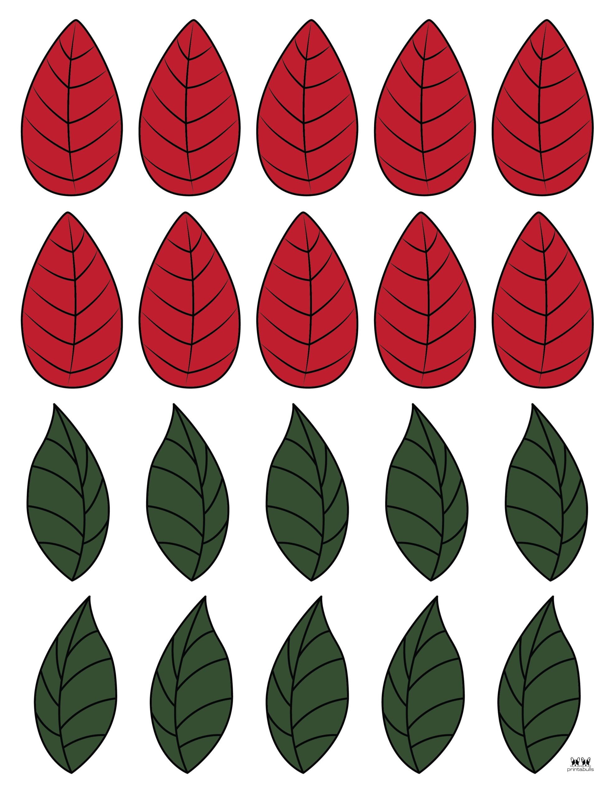 Poinsettia Coloring Pages &amp; Templates - FREE | Printabulls
