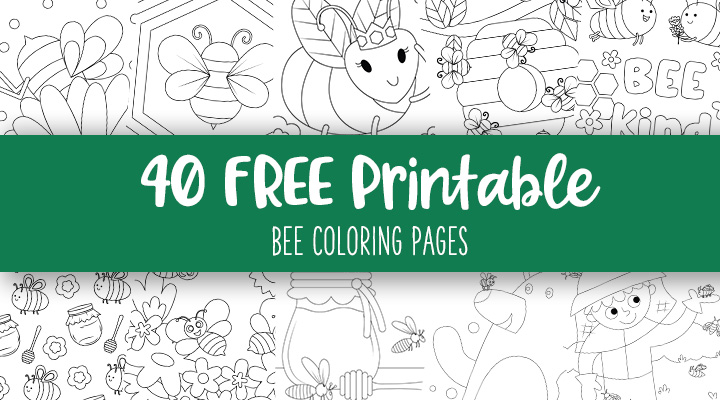 Printable-Bee-Coloring-Pages-Feature-Image
