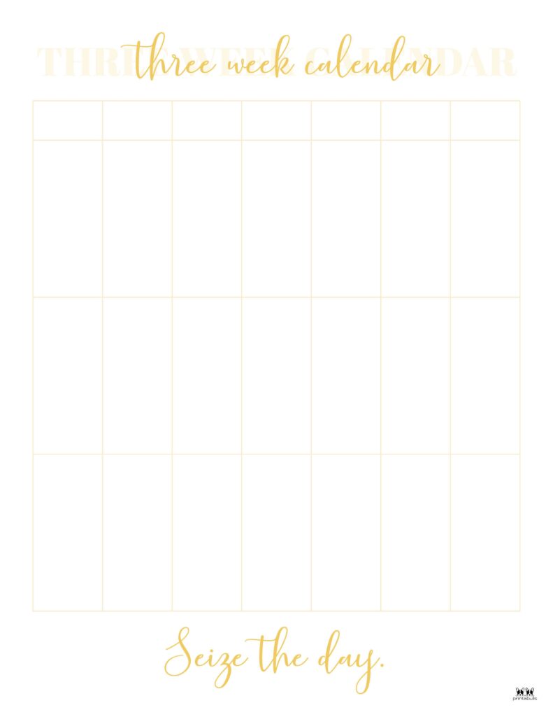 Printable-Three-Week-Calendar-Style-13-June