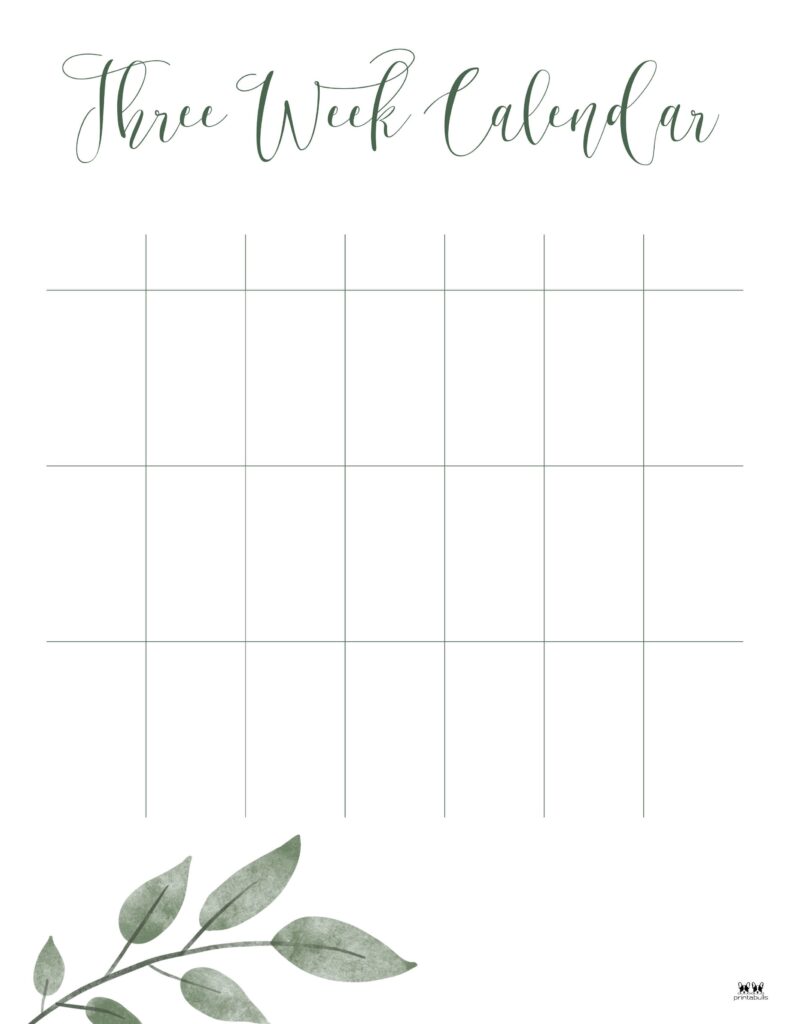 Printable-Three-Week-Calendar-Style-3-August