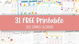 Summer visual data 4