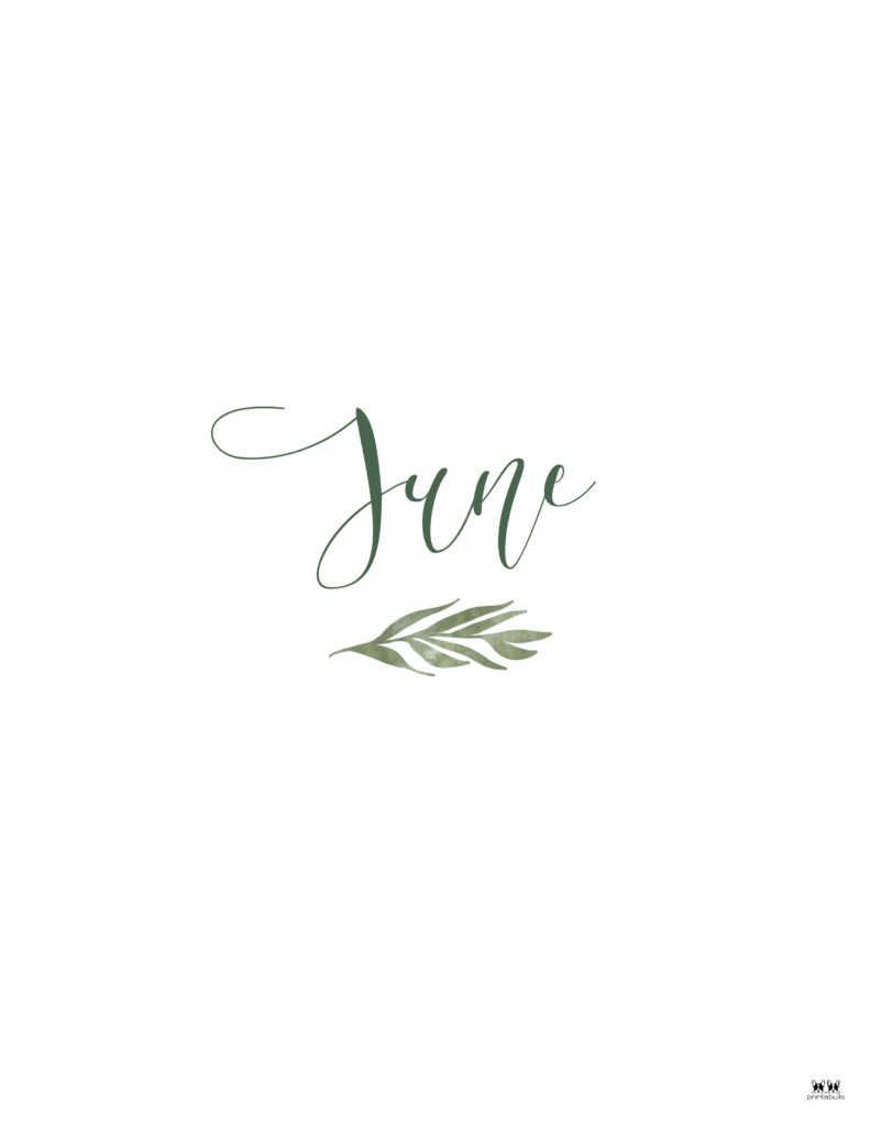 Companion Planner Monthly Dividers - 120 Pages 156 Printable-Companion-Planner-Monthly-Divider-June-3-CPP