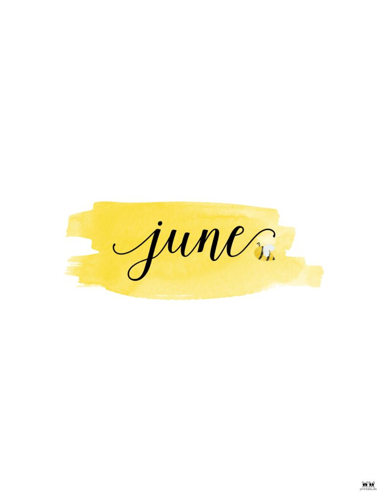 Companion Planner Monthly Dividers - 120 Pages 180 Printable-Companion-Planner-Monthly-Divider-June-5-CPP