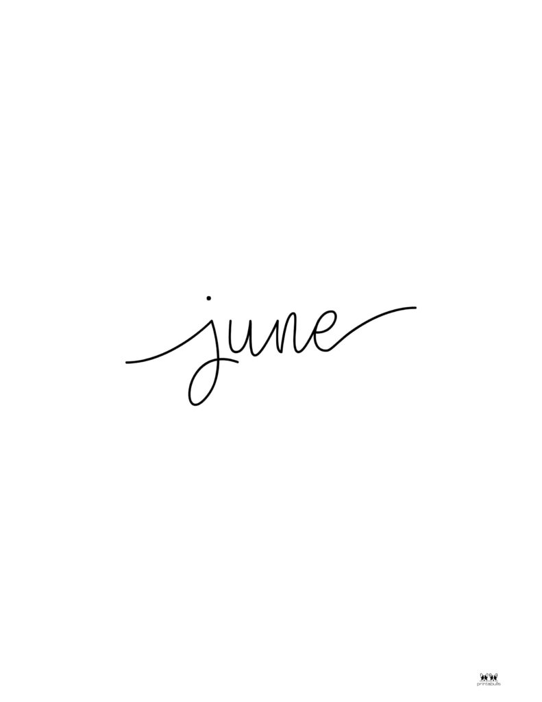 Printable-Hourly-Daily-2027-Planner-June-Cover-Page-1