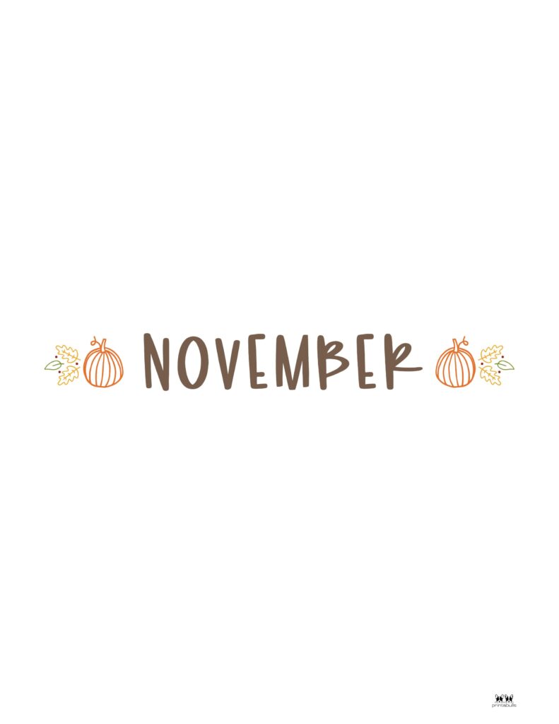 Printable-Hourly-Daily-2027-Planner-November-Cover-Page-10